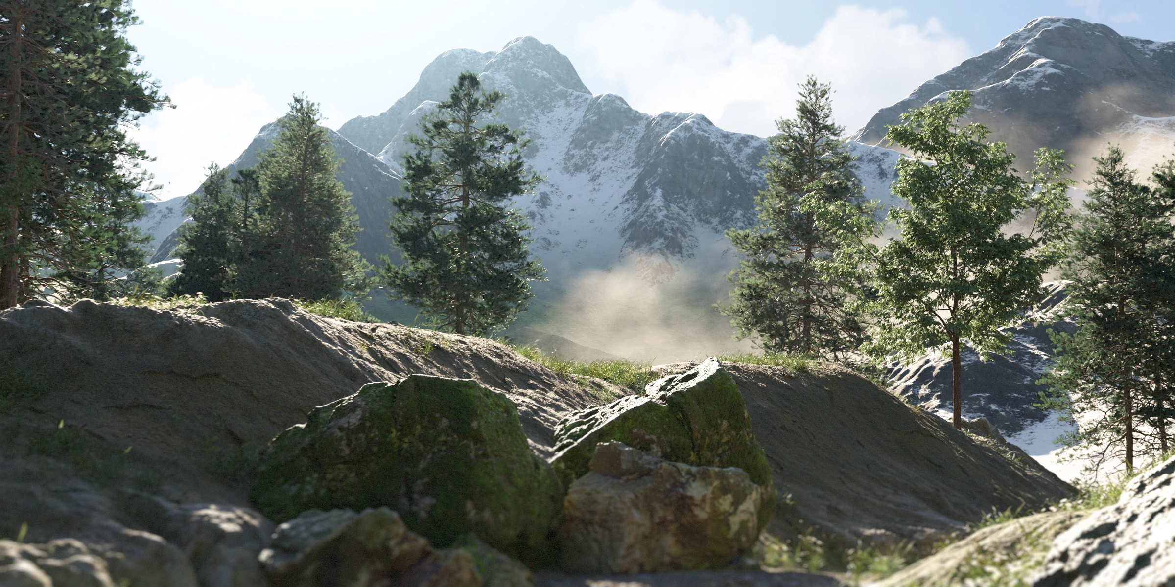 TrueTERRAIN 5 product screenshot